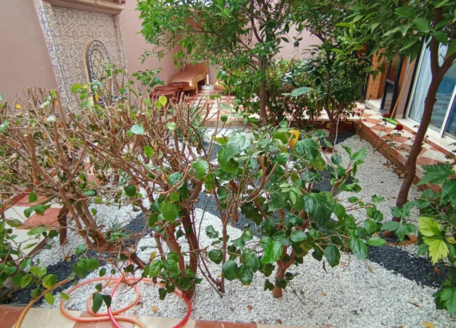 Maison Avec Jardin Au Centre De Marrakech Marrakesh Holiday home